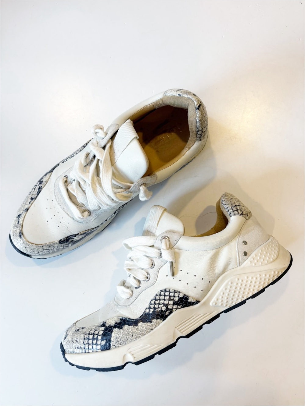 Joie || Jamson Sneaker Trainer Leather Ivory Black Snake 41